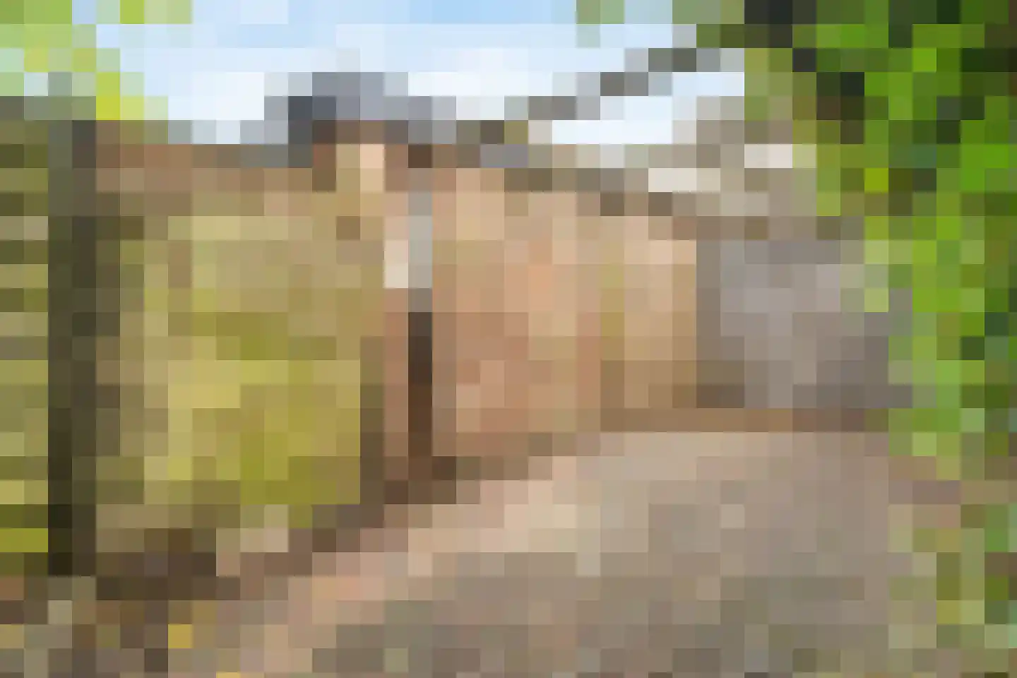Haasdonk 7 Amersfoort thumbnail 35
