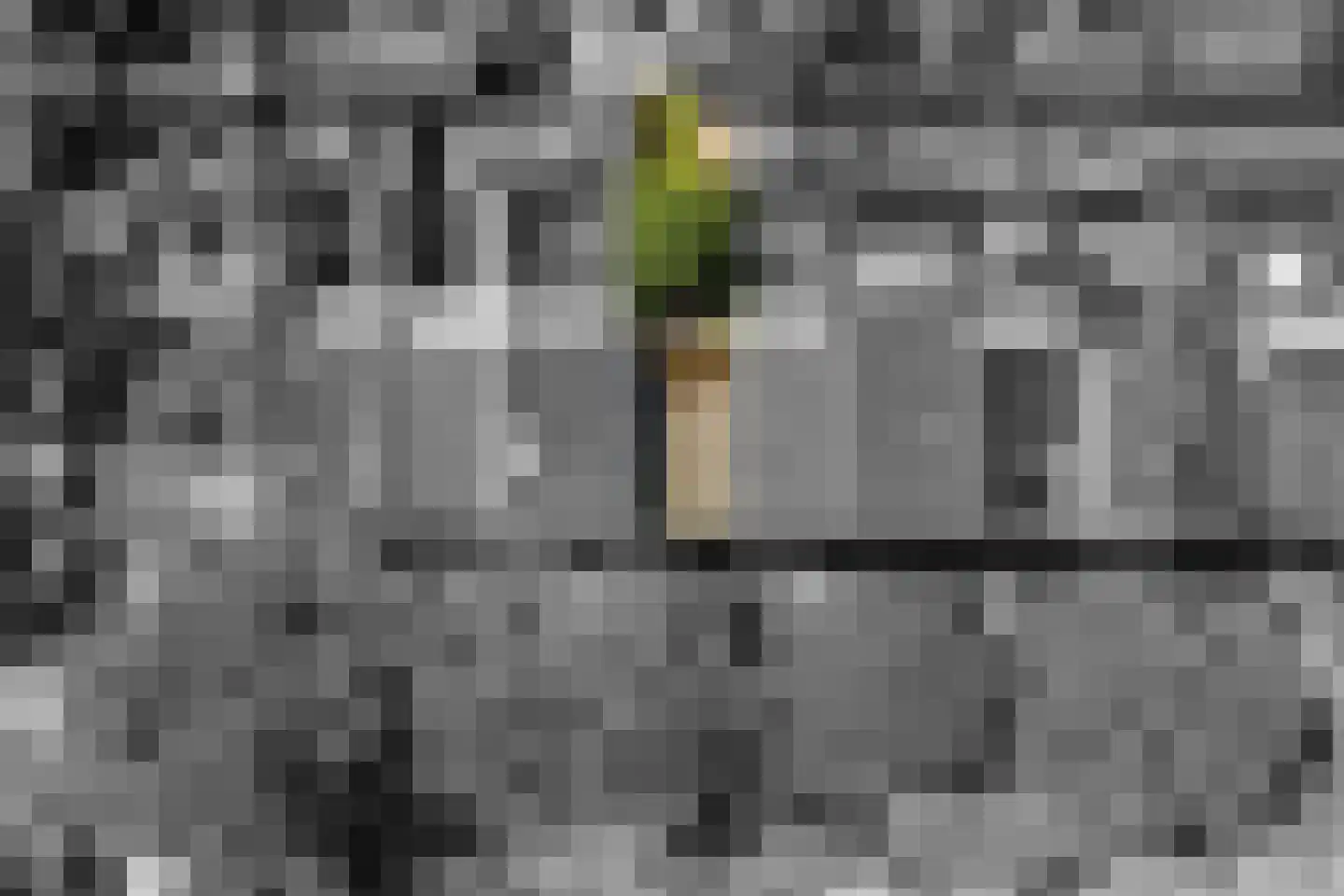 Haasdonk 7 Amersfoort thumbnail 36
