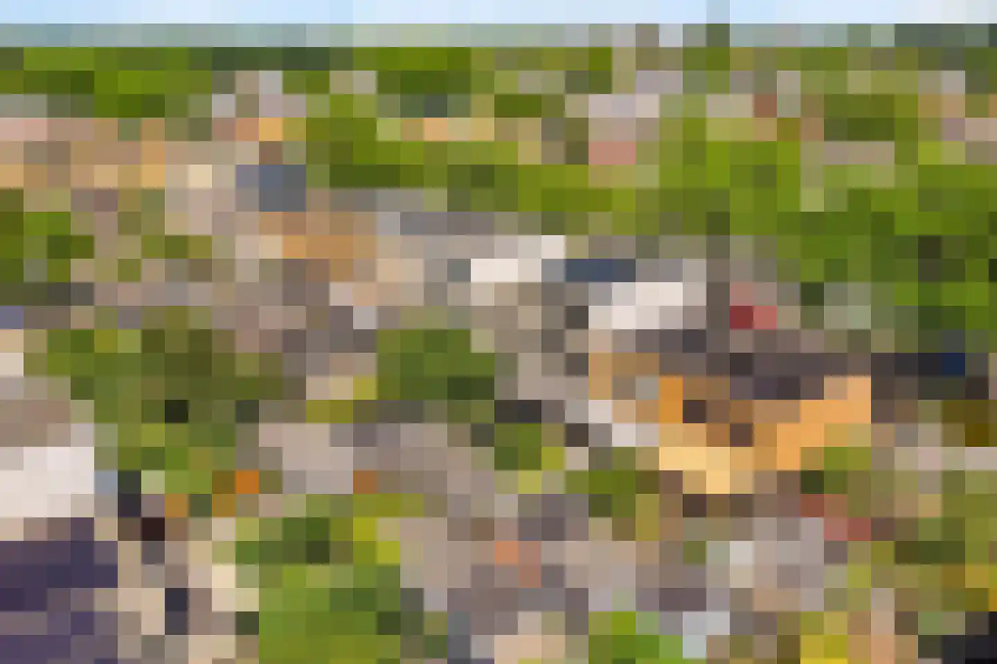 Haasdonk 7 Amersfoort thumbnail 39
