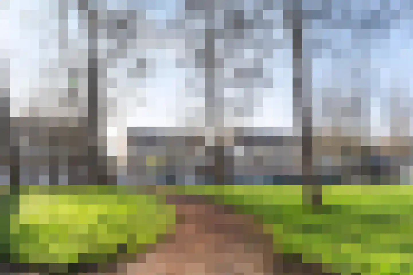 Haastenburg 18 Gouda thumbnail 39
