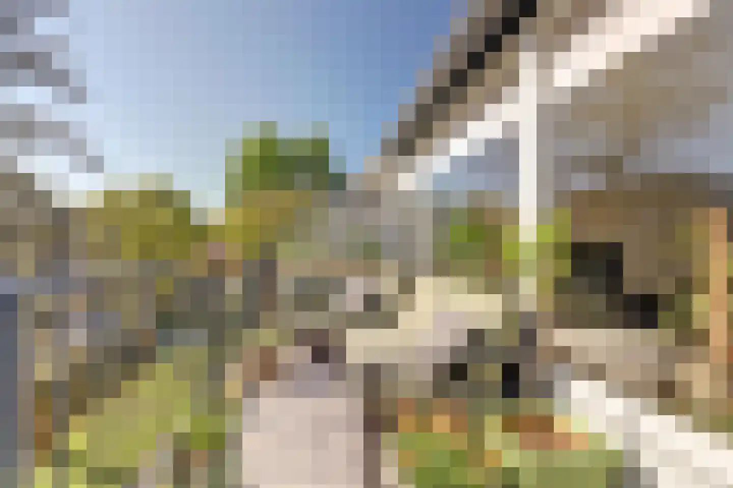 Haastenburg 19 Gouda thumbnail 25