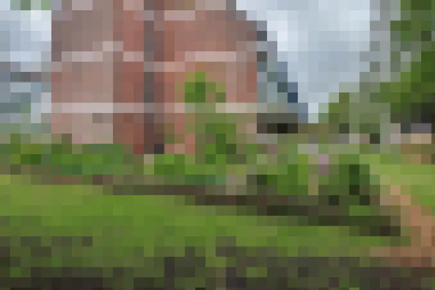 Haastenburg 19 Gouda thumbnail 40