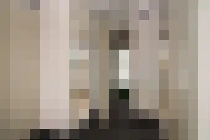 Haastenburg 24 Gouda thumbnail 11