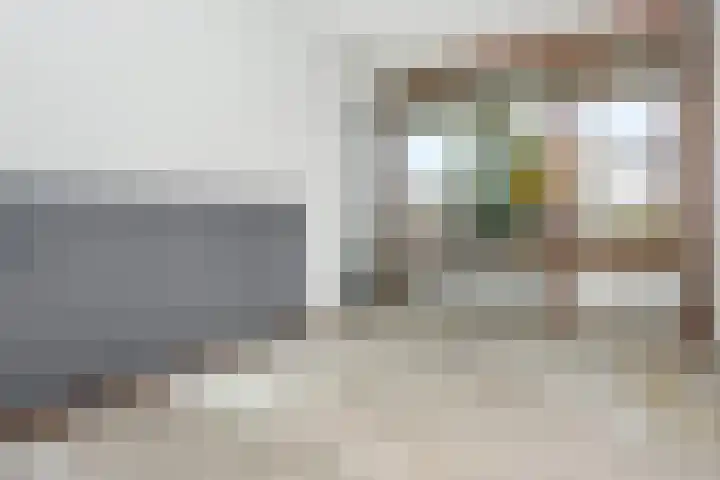 Haastenburg 24 Gouda thumbnail 18