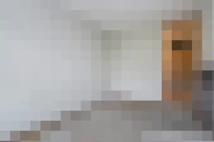 Haastenburg 24 Gouda thumbnail 19