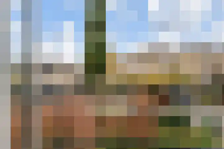 Haastenburg 24 Gouda thumbnail 23