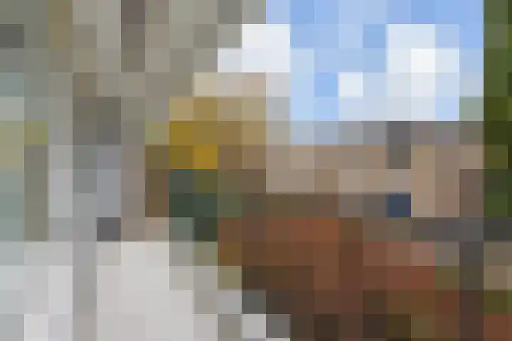 Haastenburg 24 Gouda thumbnail 24