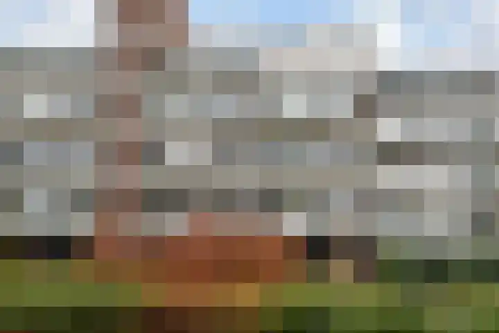 Haastenburg 24 Gouda thumbnail 26