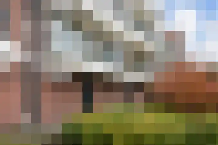 Haastenburg 24 Gouda thumbnail 27