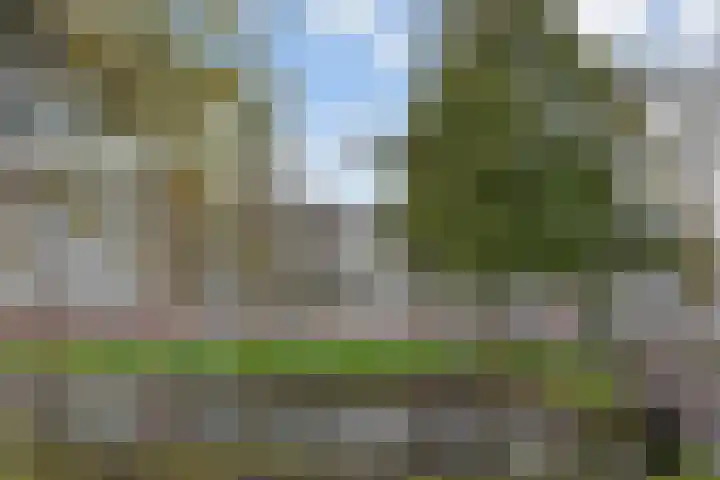 Haastenburg 24 Gouda thumbnail 28