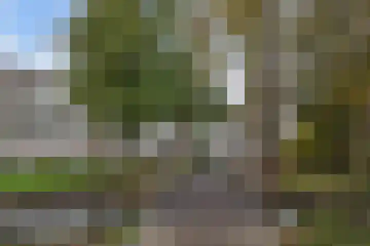 Haastenburg 24 Gouda thumbnail 29