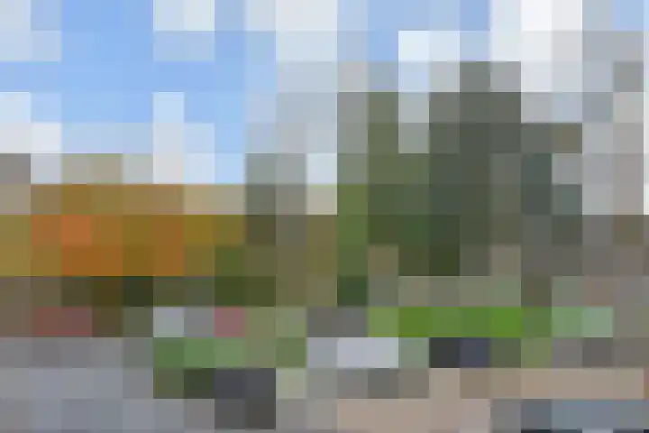 Haastenburg 24 Gouda thumbnail 30