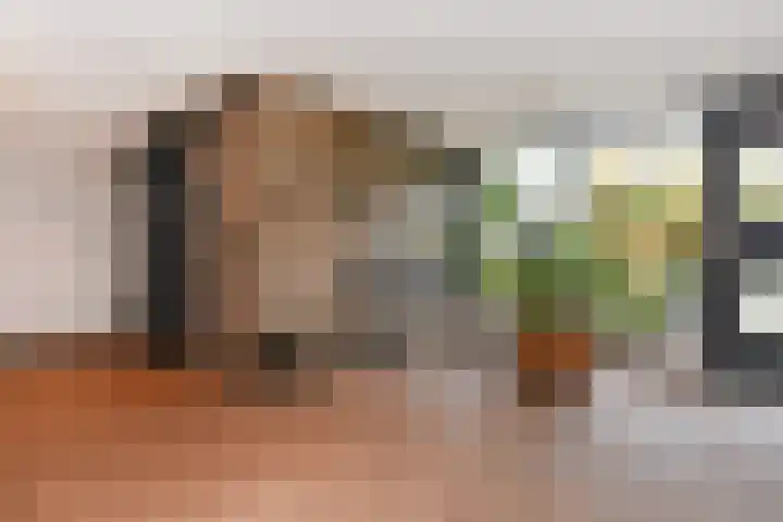 Haastenburg 24 Gouda thumbnail 7