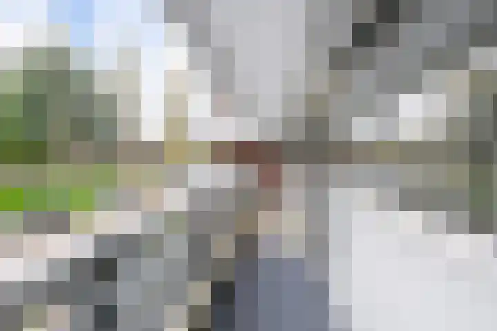 Haastenburg 24 Gouda thumbnail 9
