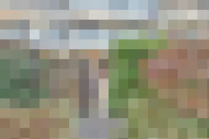 Haastenburg 78 Gouda thumbnail 4