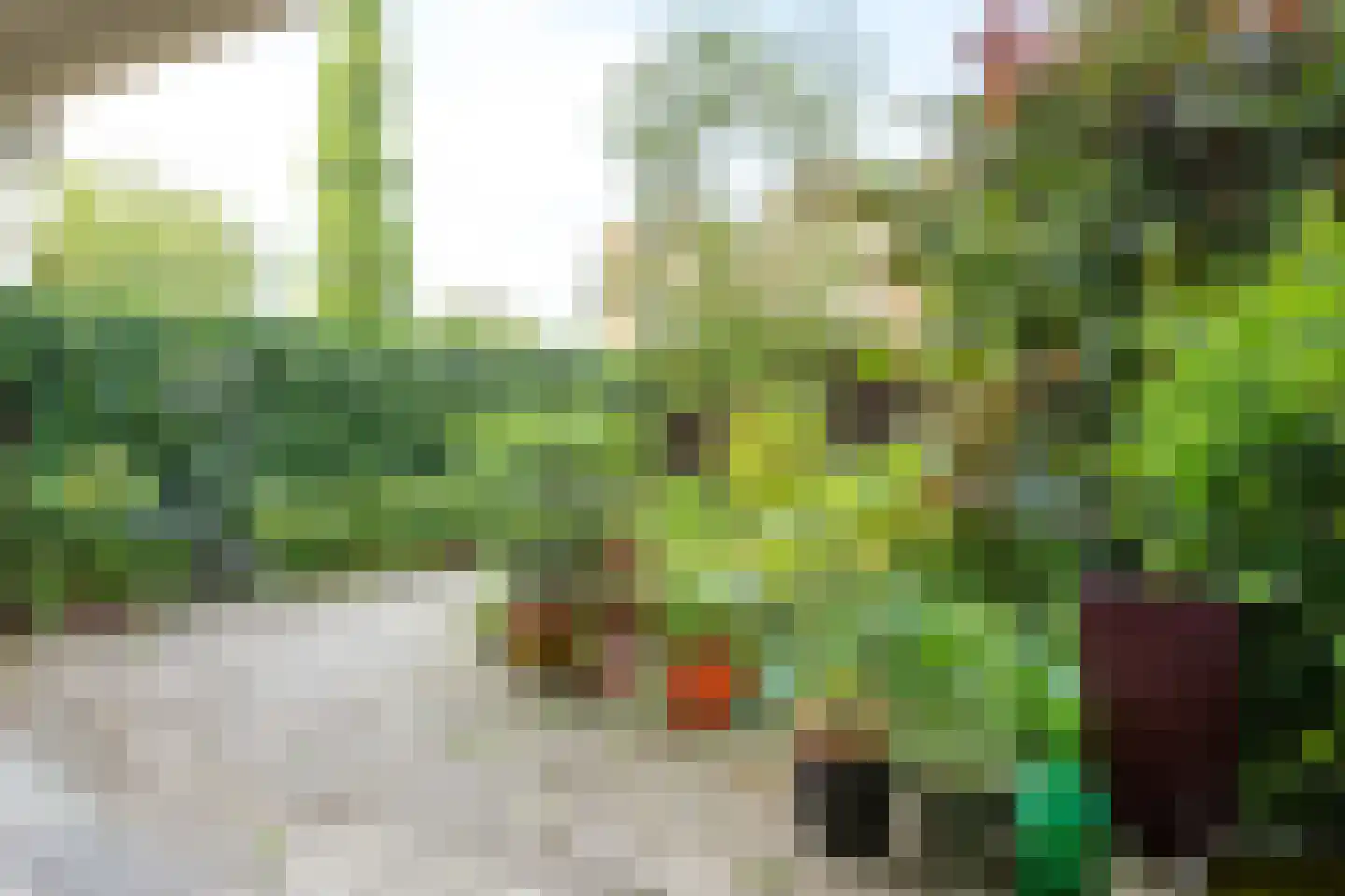 Haastenburg 8 Gouda thumbnail 33