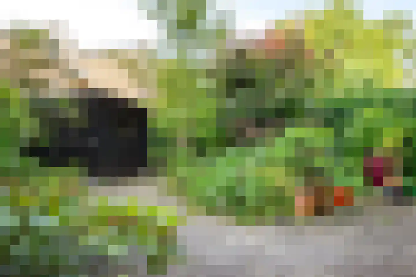 Haastenburg 8 Gouda thumbnail 5
