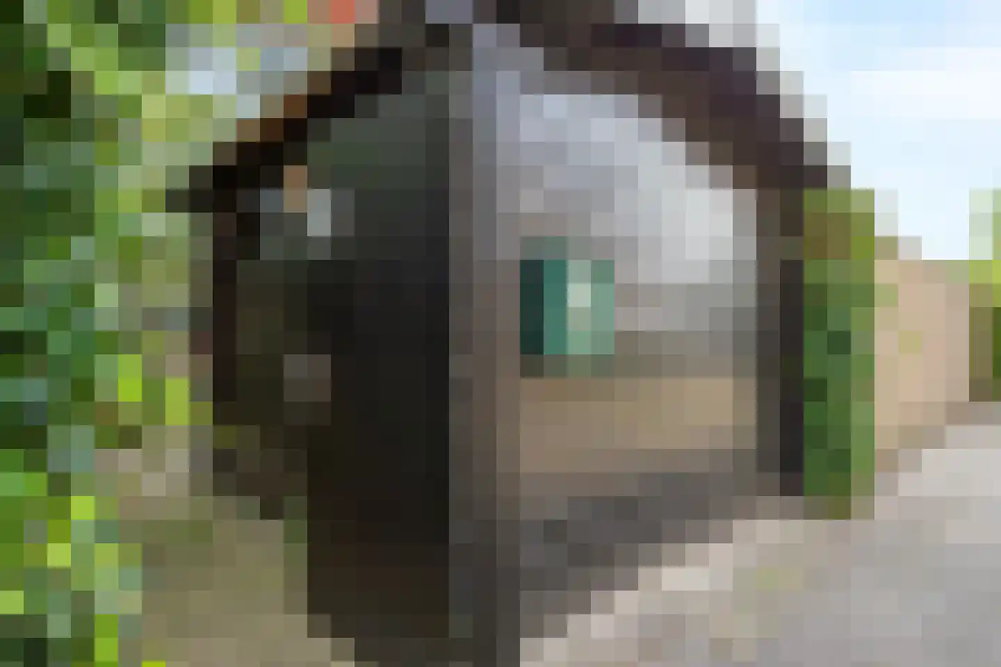 Haastenburg 8 Gouda thumbnail 6