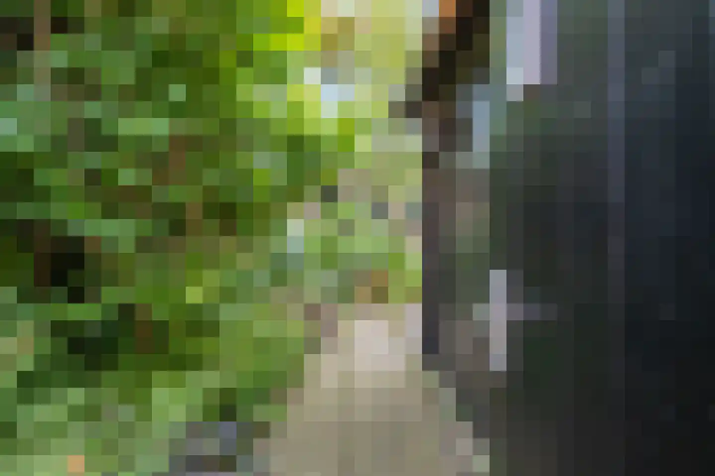 Haastenburg 8 Gouda thumbnail 7