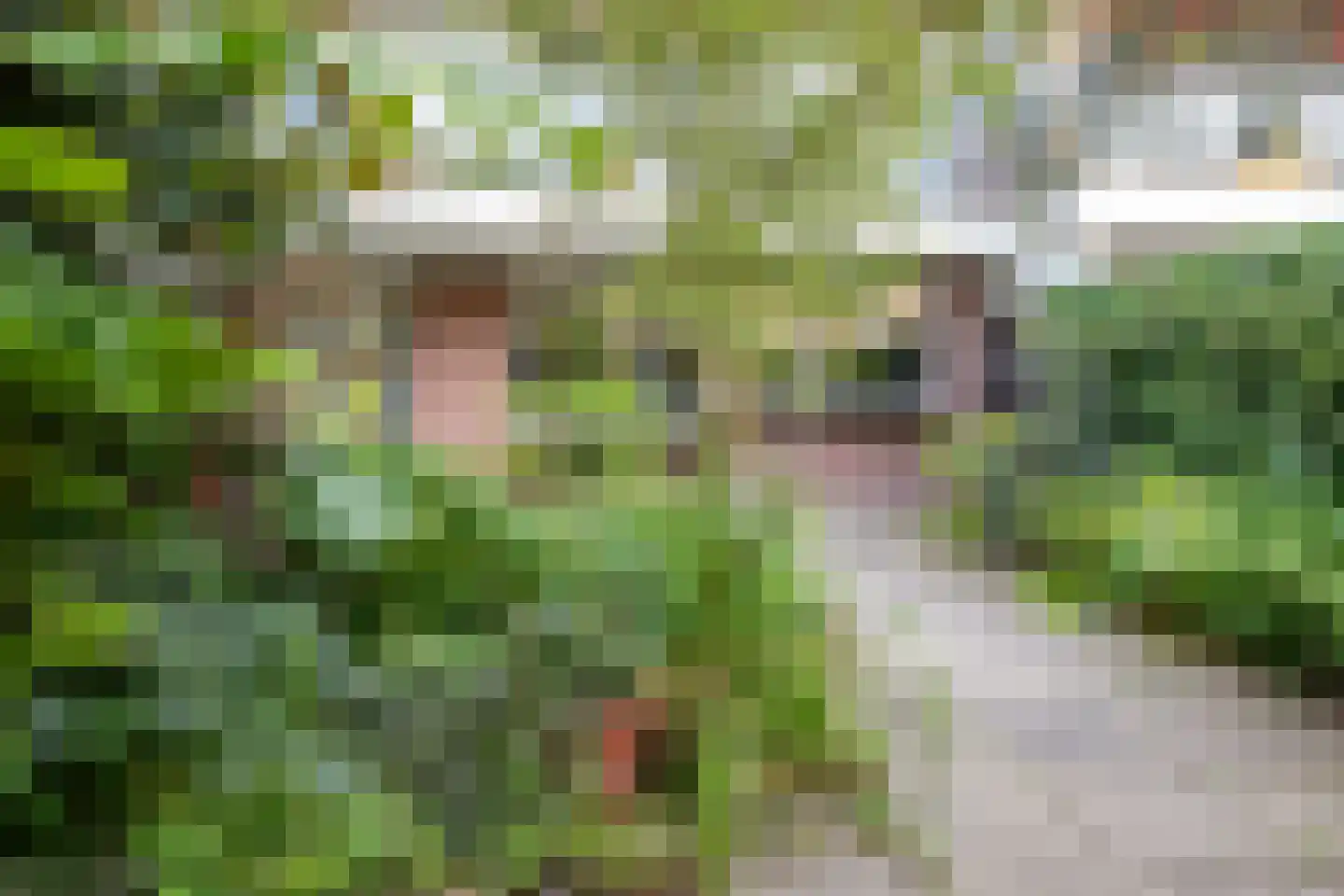 Haastenburg 8 Gouda thumbnail 8