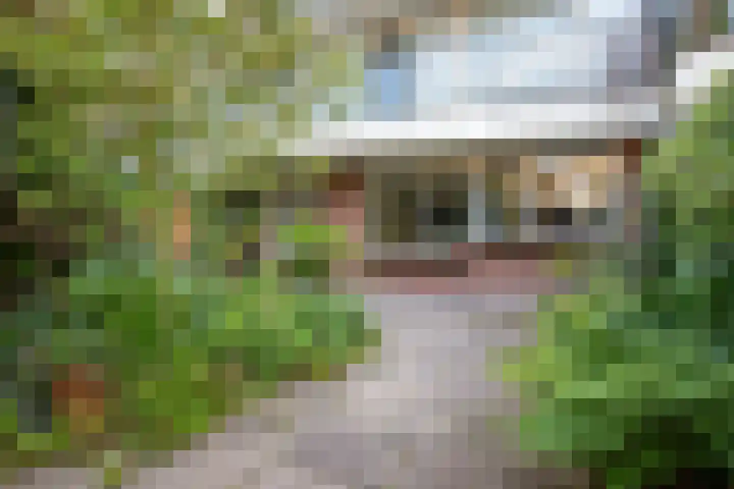 Haastenburg 8 Gouda thumbnail 9