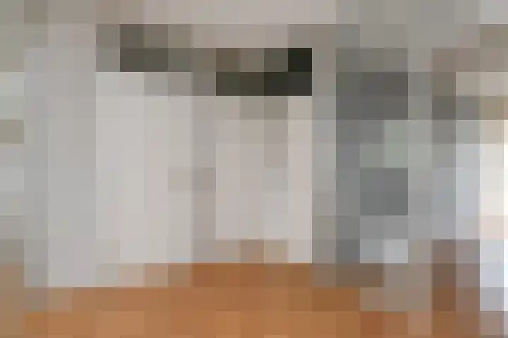 Haastenburg 86 Gouda thumbnail 12