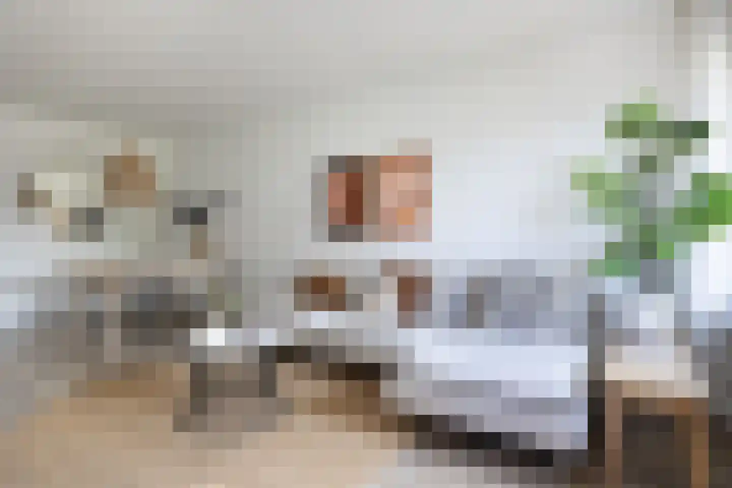 Haastenburg 92 Gouda thumbnail 18