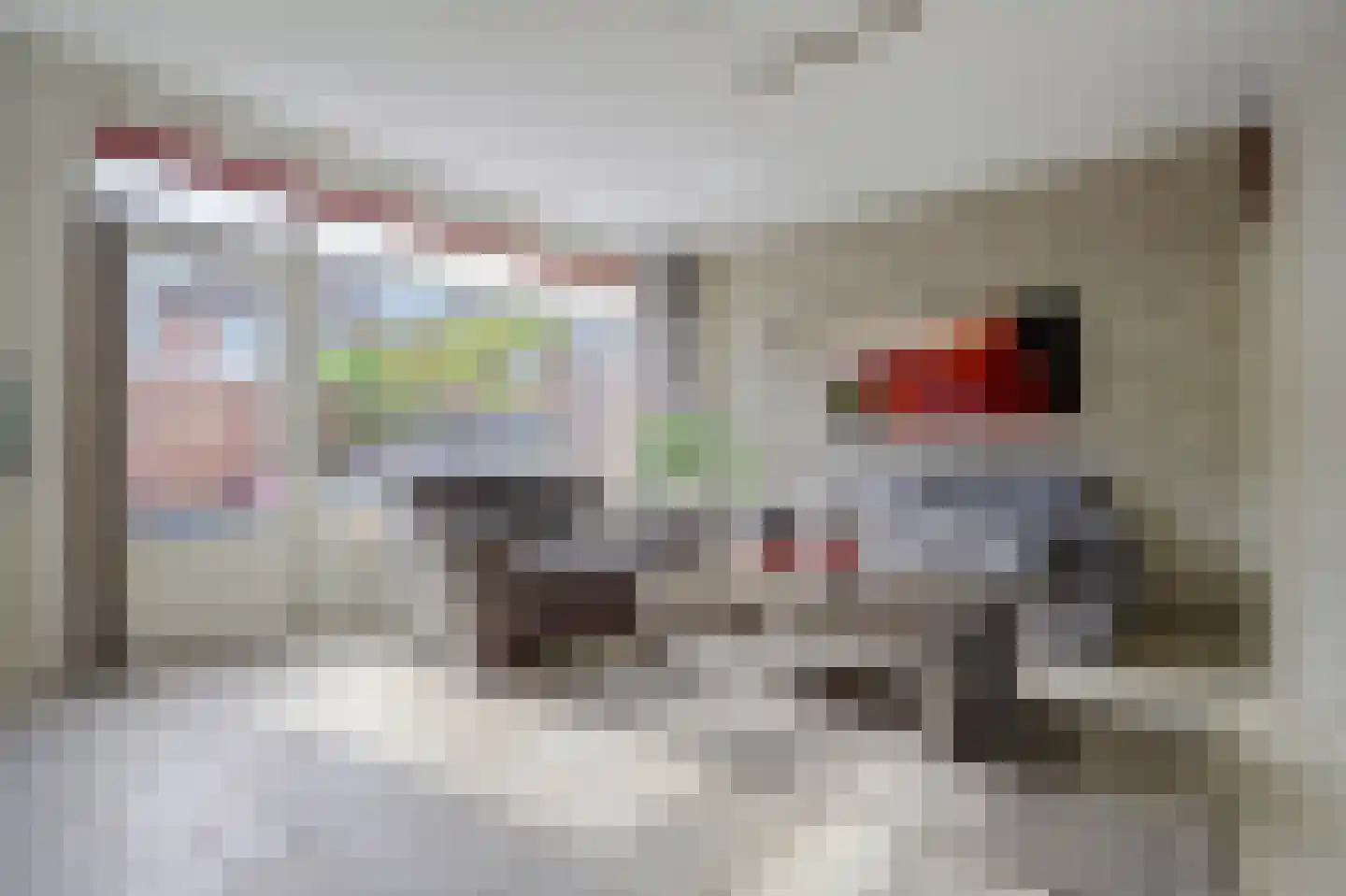 Haaswijk 2 Zwijndrecht thumbnail 10