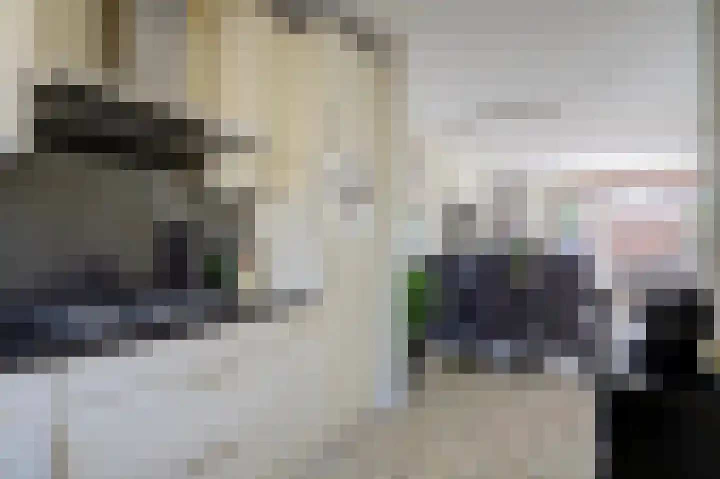 Haaswijk 2 Zwijndrecht thumbnail 15