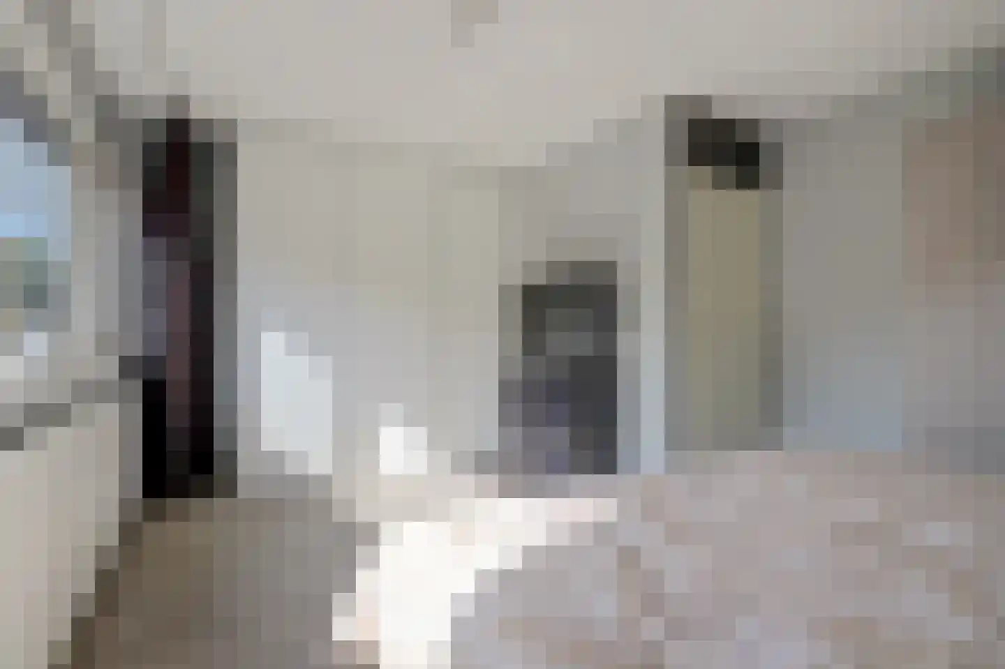 Haaswijk 2 Zwijndrecht thumbnail 18
