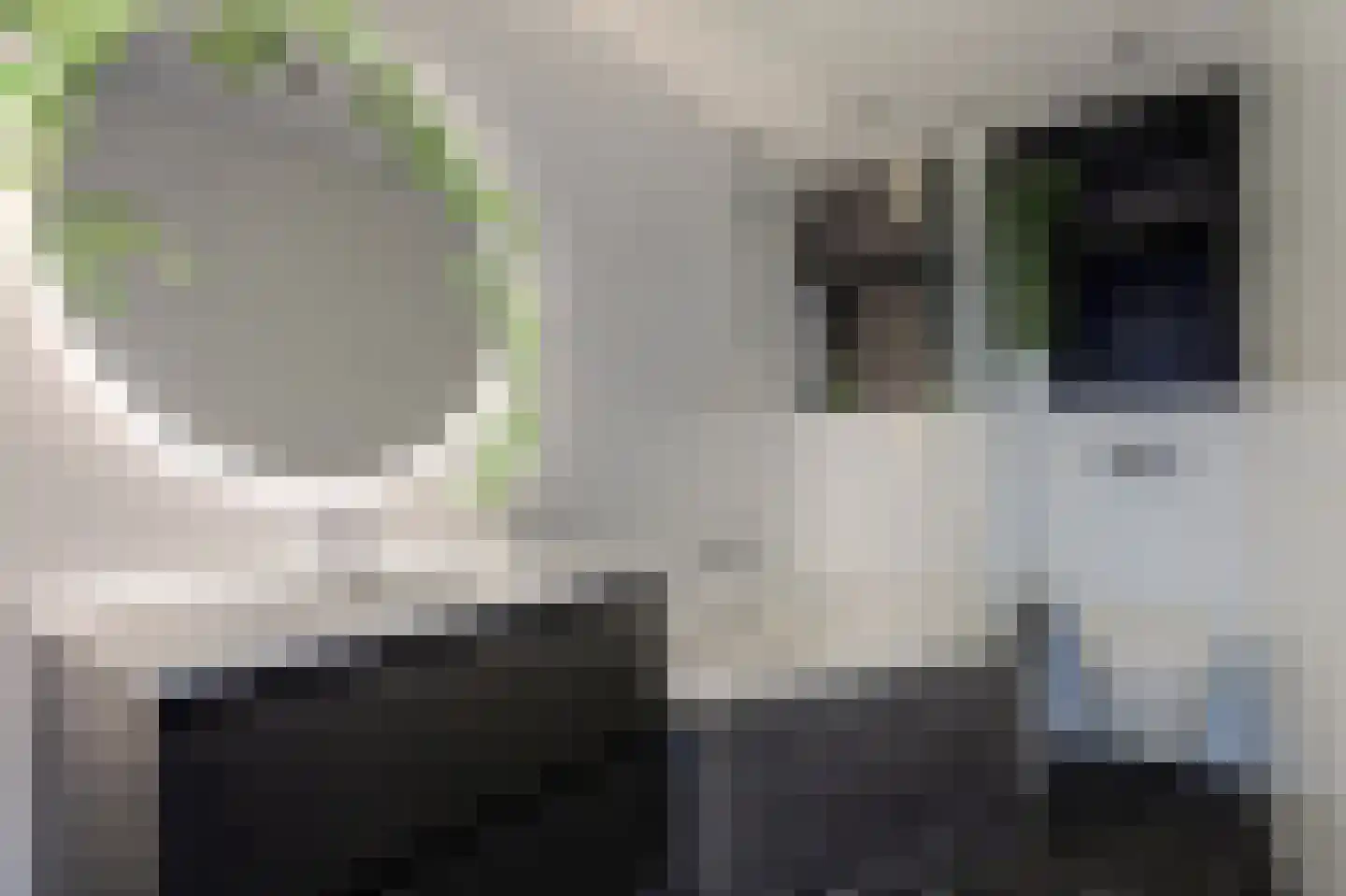 Haaswijk 2 Zwijndrecht thumbnail 23