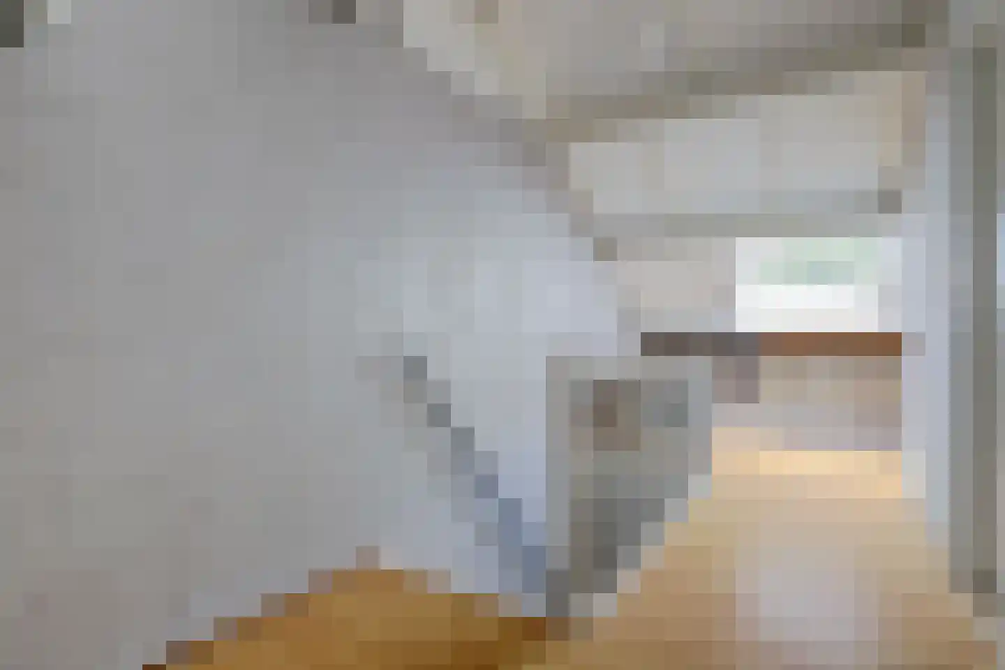 Haaswijk 2 Zwijndrecht thumbnail 26