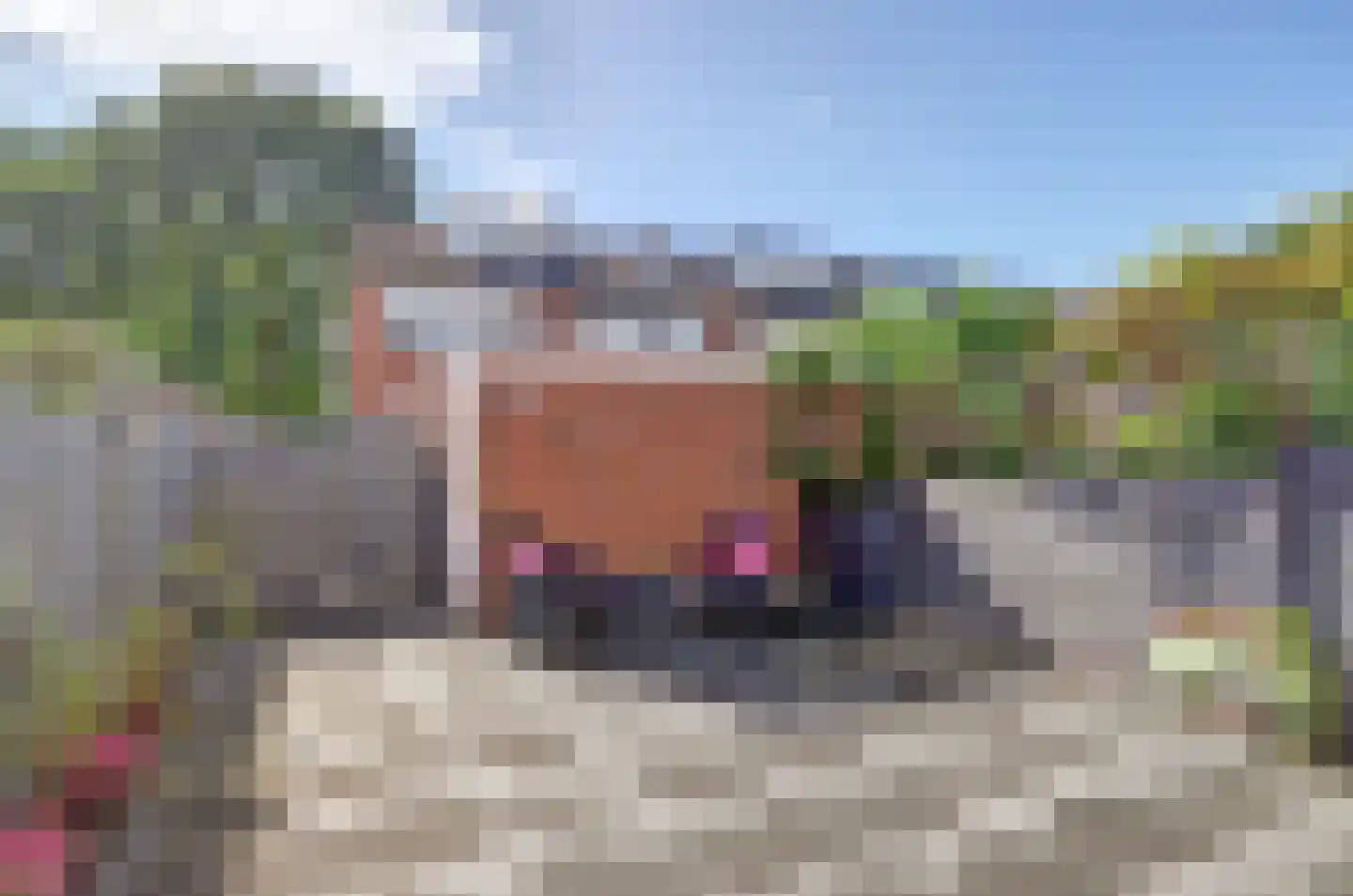 Haaswijk 2 Zwijndrecht thumbnail 31
