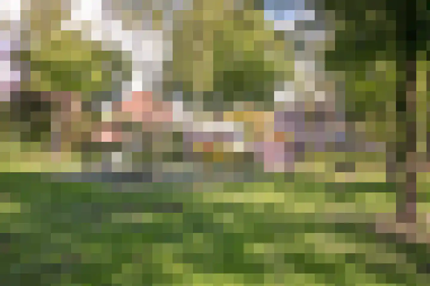 Haaswijk 2 Zwijndrecht thumbnail 38