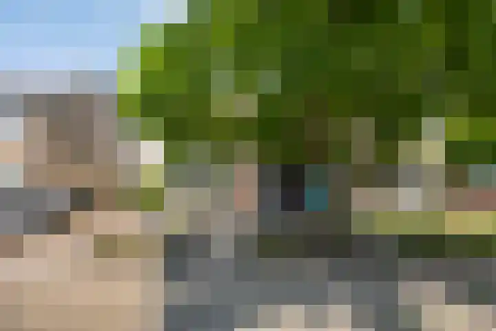 Haatlanderdijk 11 Kampen thumbnail 10