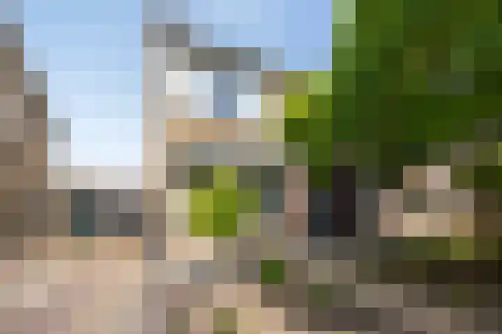 Haatlanderdijk 11 Kampen thumbnail 11