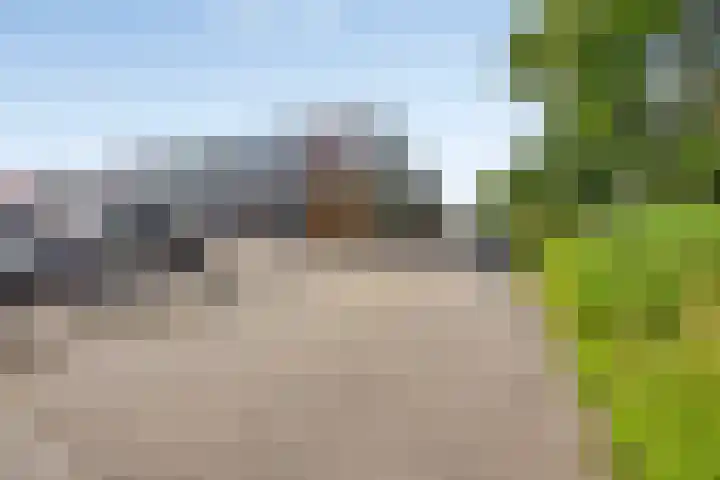 Haatlanderdijk 11 Kampen thumbnail 40