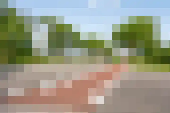 Haatlanderdijk 11 Kampen thumbnail 41