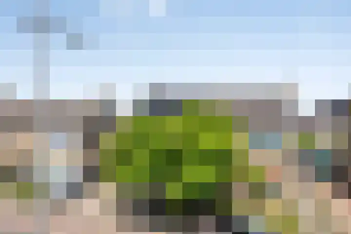 Haatlanderdijk 11 Kampen thumbnail 8
