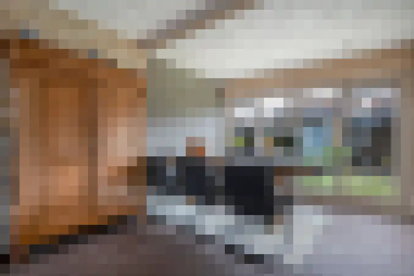 Haatlanderdijk 15 Kampen thumbnail 10