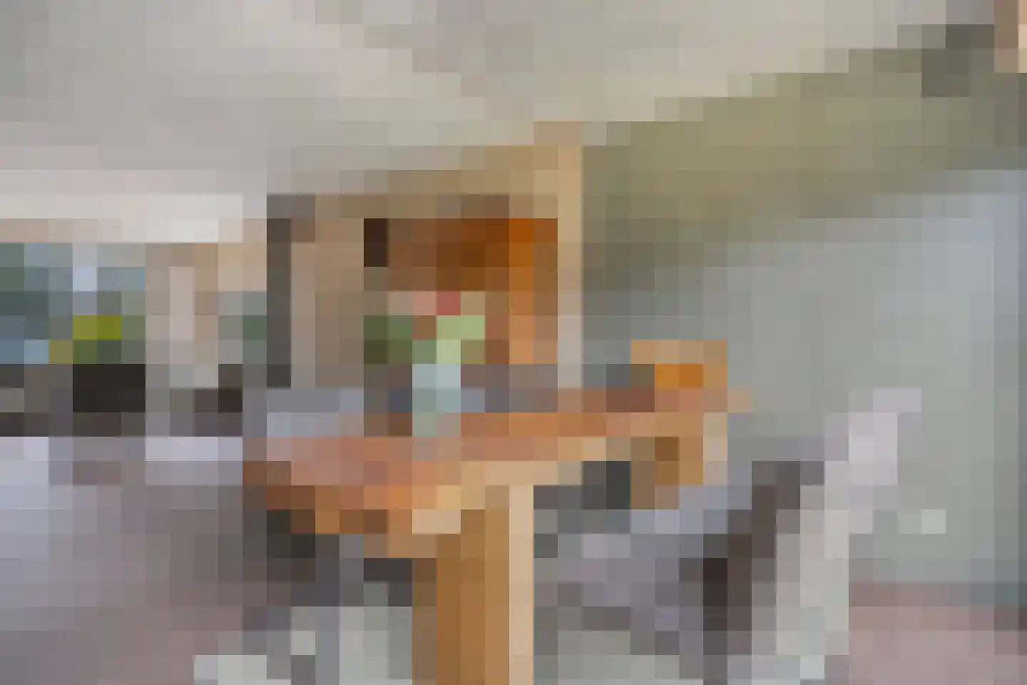 Haatlanderdijk 15 Kampen thumbnail 11
