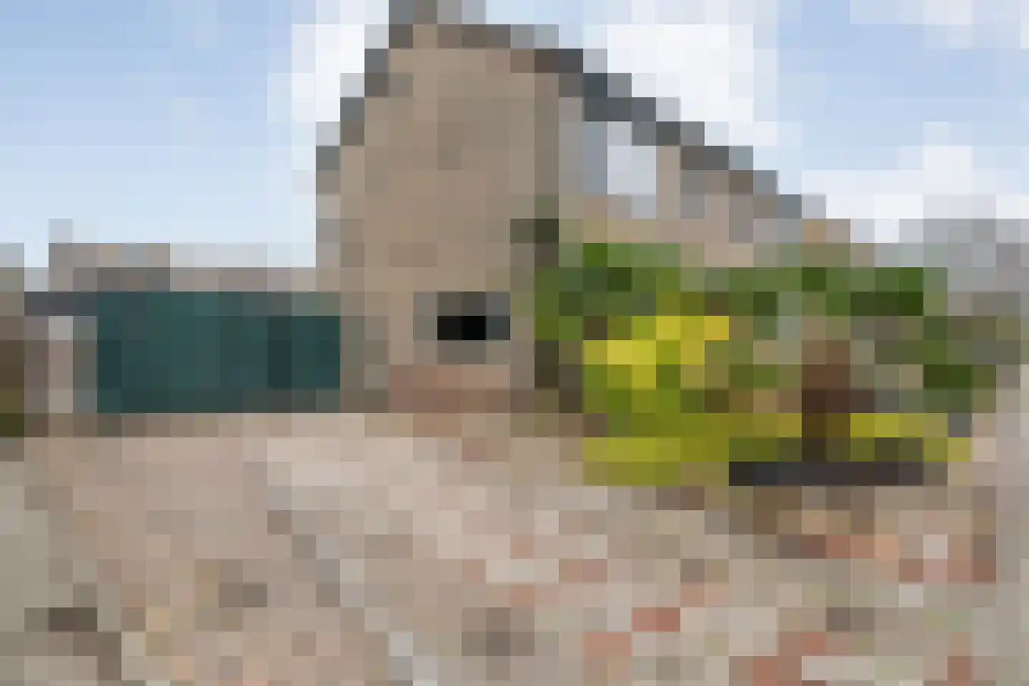 Haatlanderdijk 15 Kampen thumbnail 40