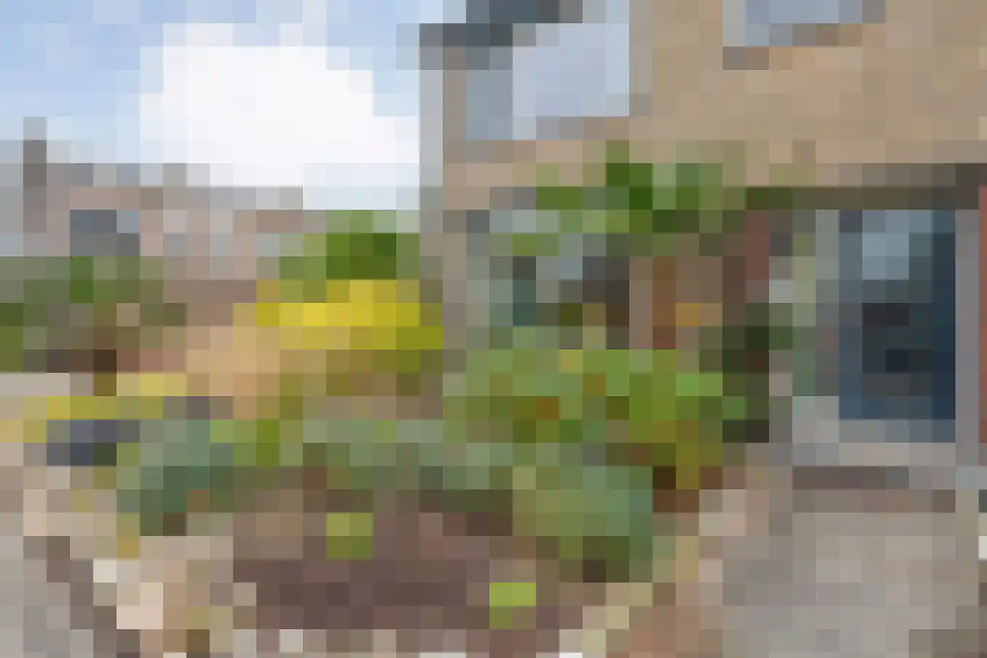 Haatlanderdijk 15 Kampen thumbnail 43