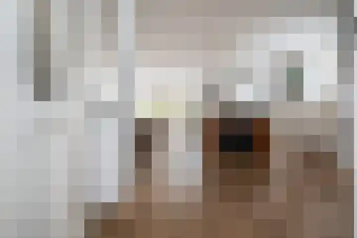 Habanera 10 Nieuw-Vennep thumbnail 11