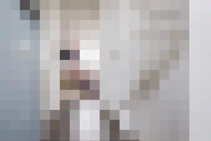 Habanera 10 Nieuw-Vennep thumbnail 22