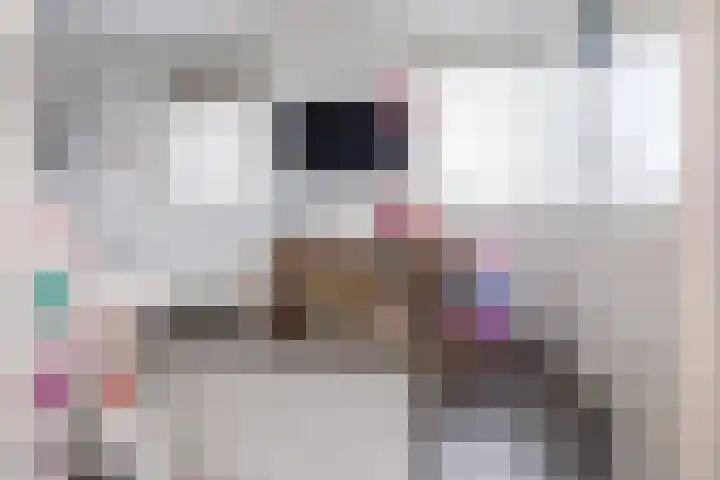 Habanera 10 Nieuw-Vennep thumbnail 23