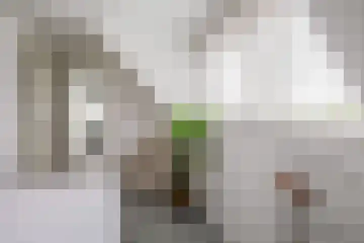 Habanera 10 Nieuw-Vennep thumbnail 35