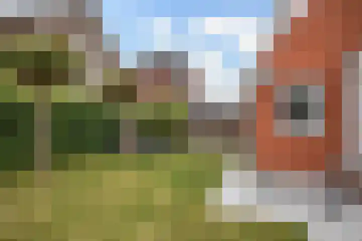 Habanera 10 Nieuw-Vennep thumbnail 43