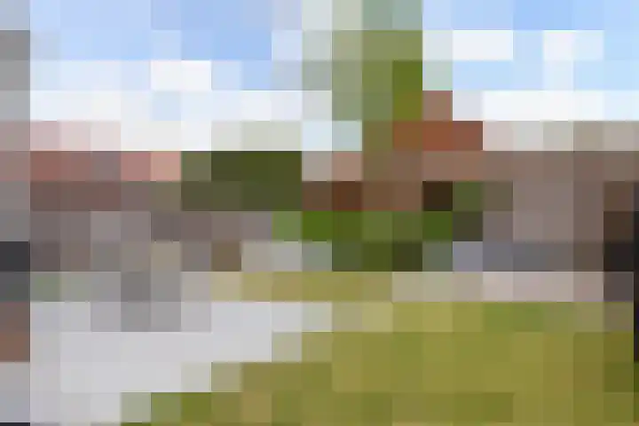 Habanera 10 Nieuw-Vennep thumbnail 6