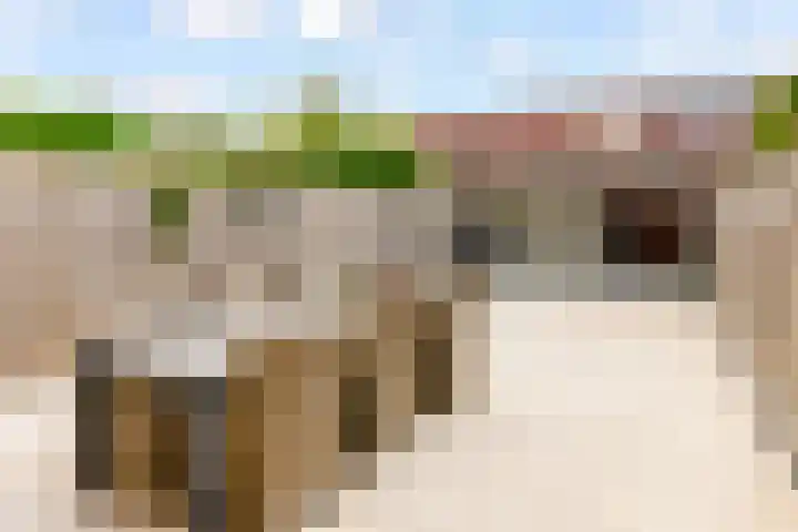 Habanerastraat 6 Almere thumbnail 30